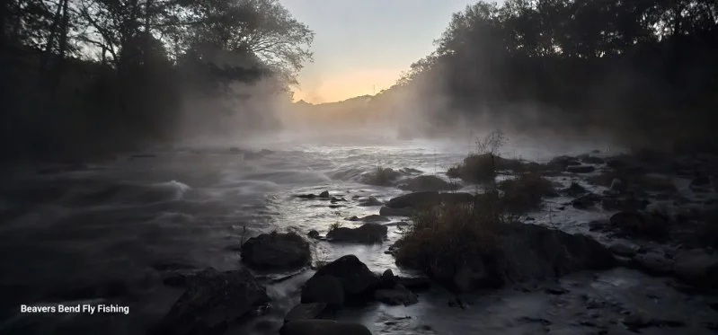 Photo from Preston