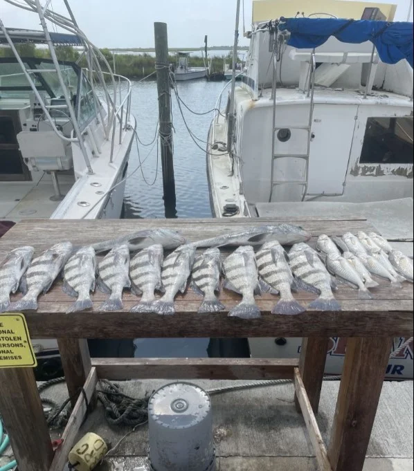 Fishing in Destin