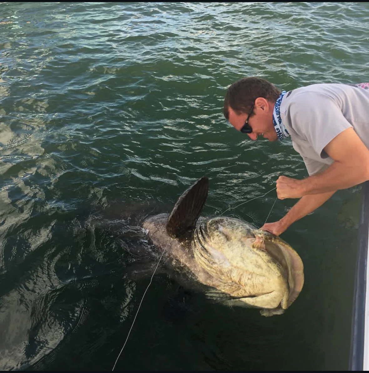 Fort Lauderdale sportfishing