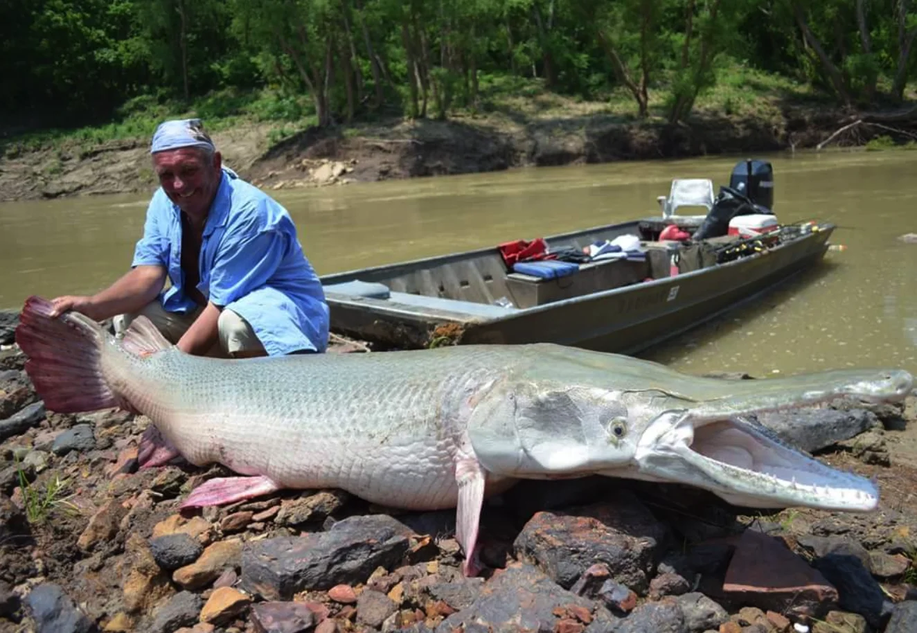 Boat photo for World Record Alligator Gar