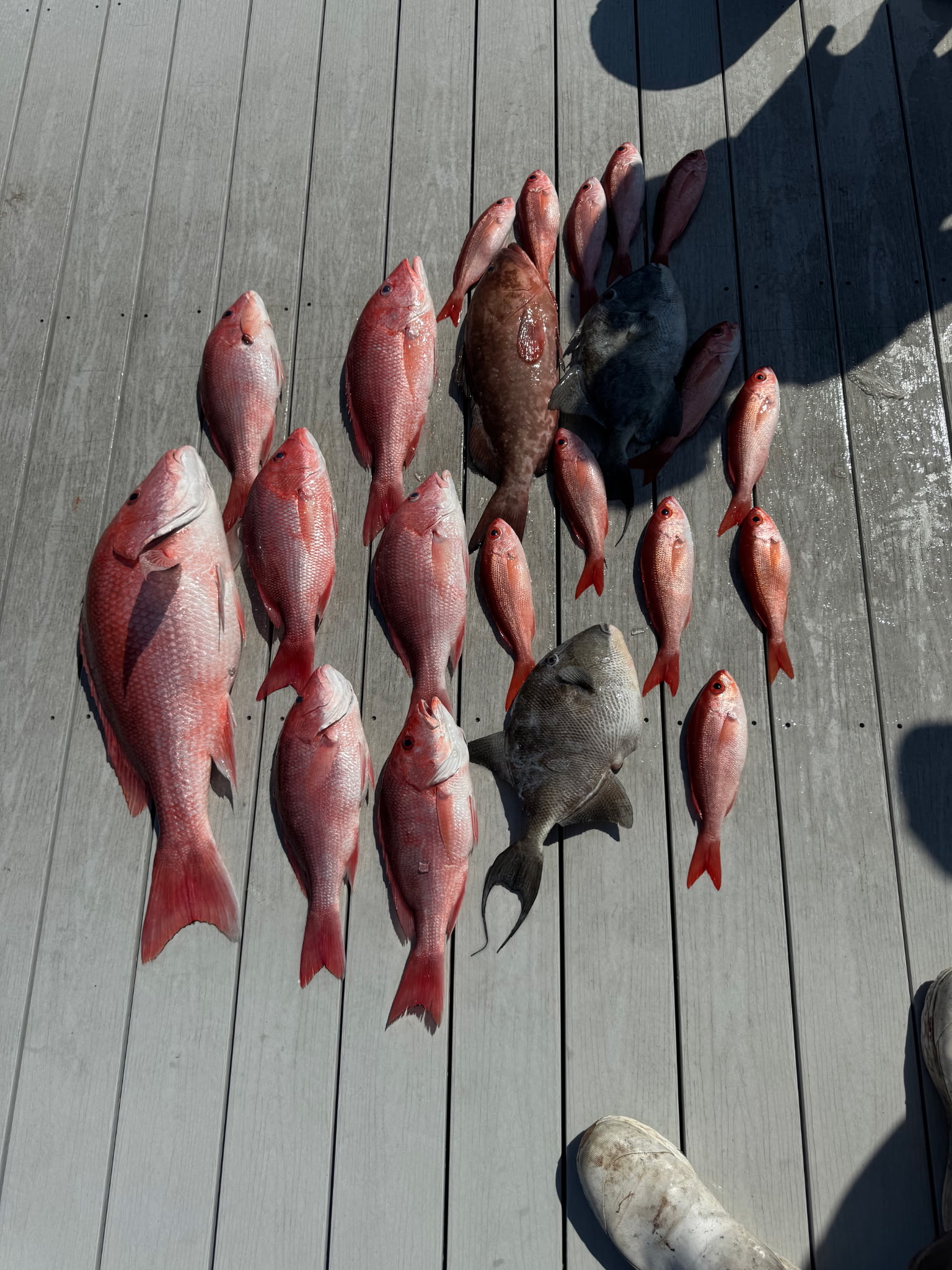 Fishing in Destin