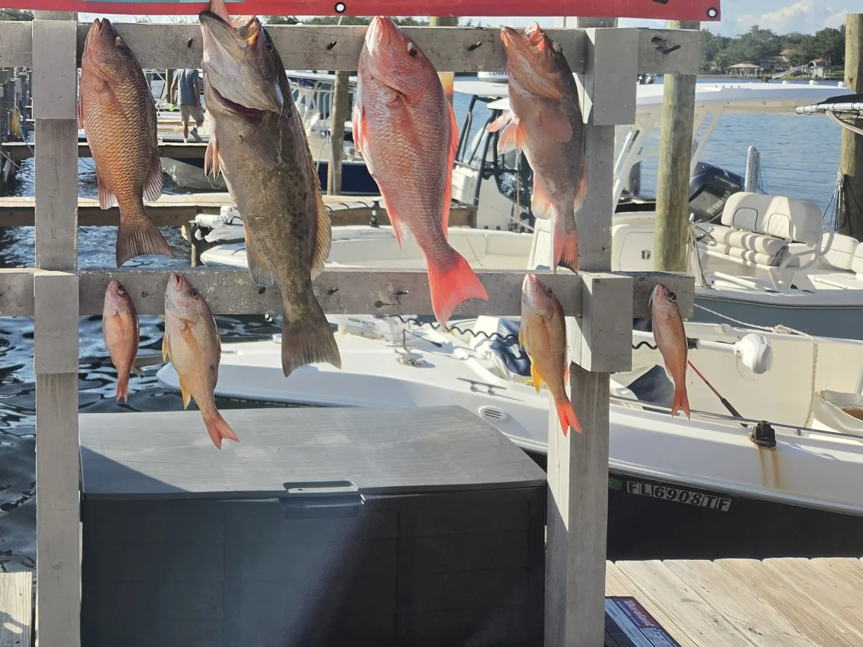 Fishing in Destin