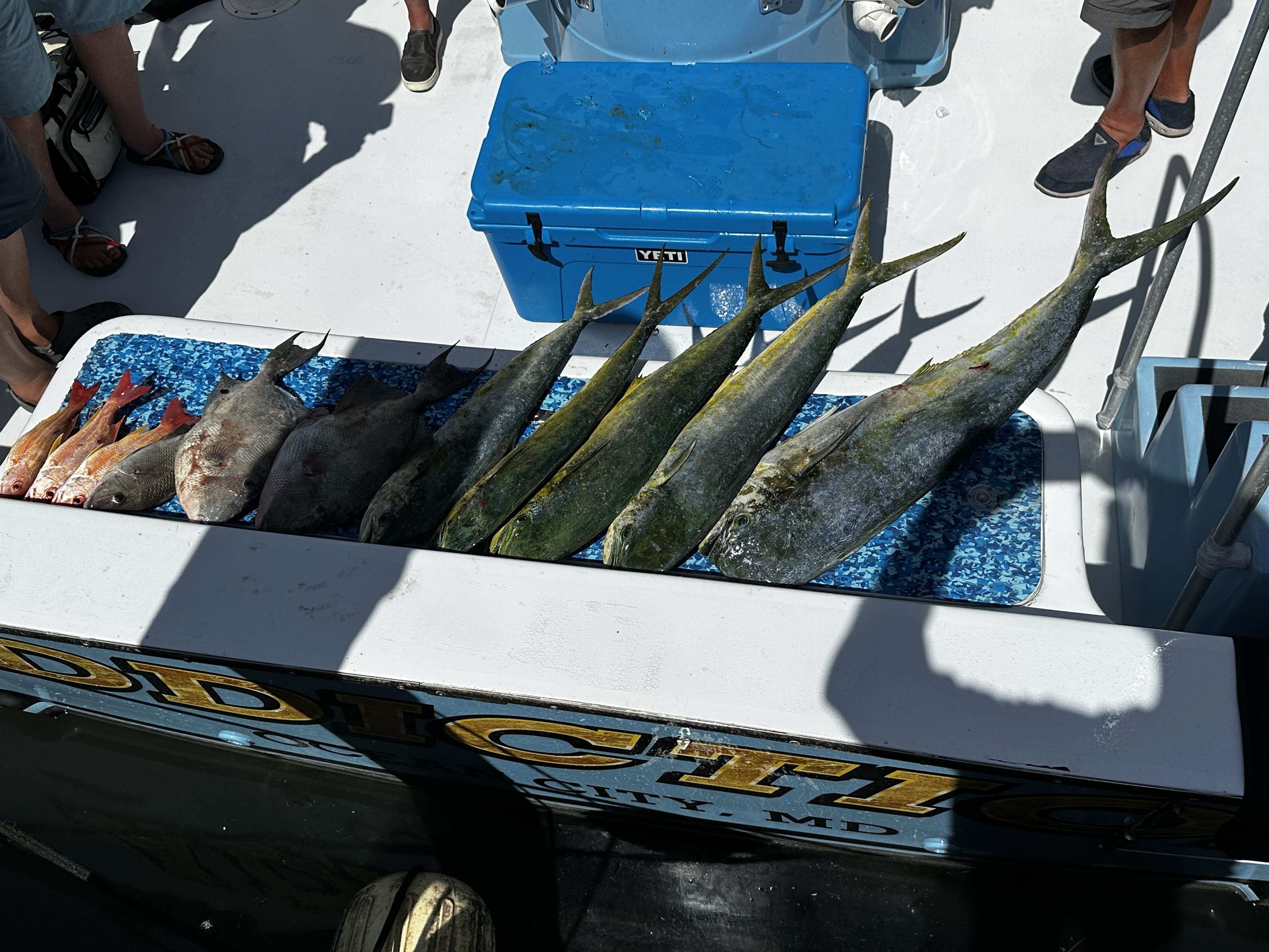 Fishing in Destin