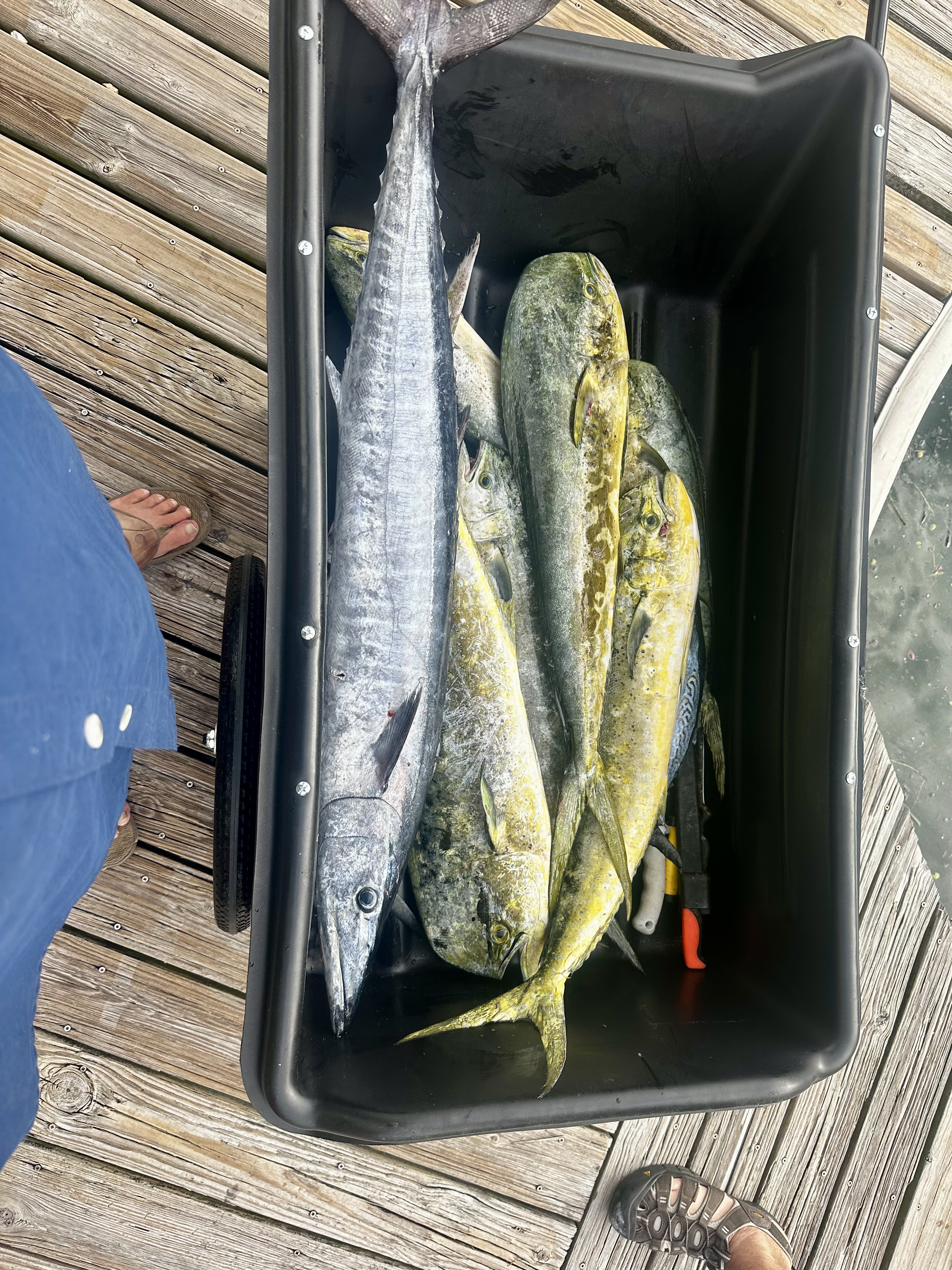Fishing in Destin