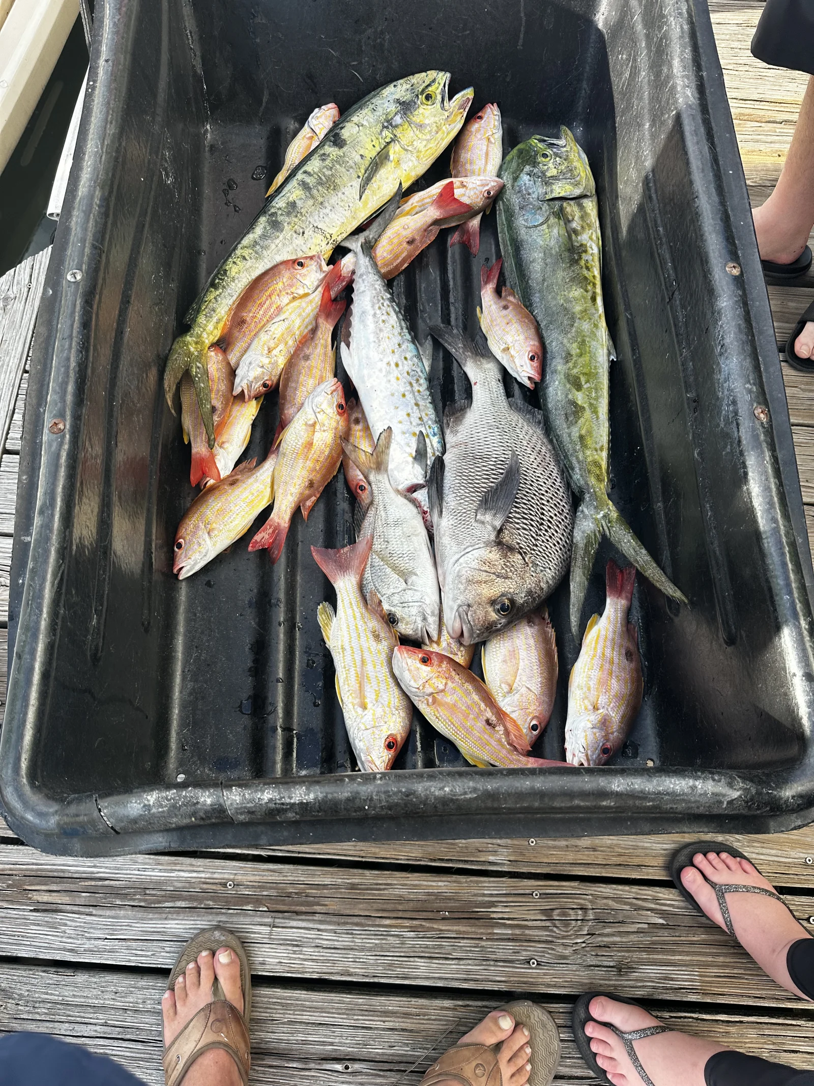 Fishing in Destin
