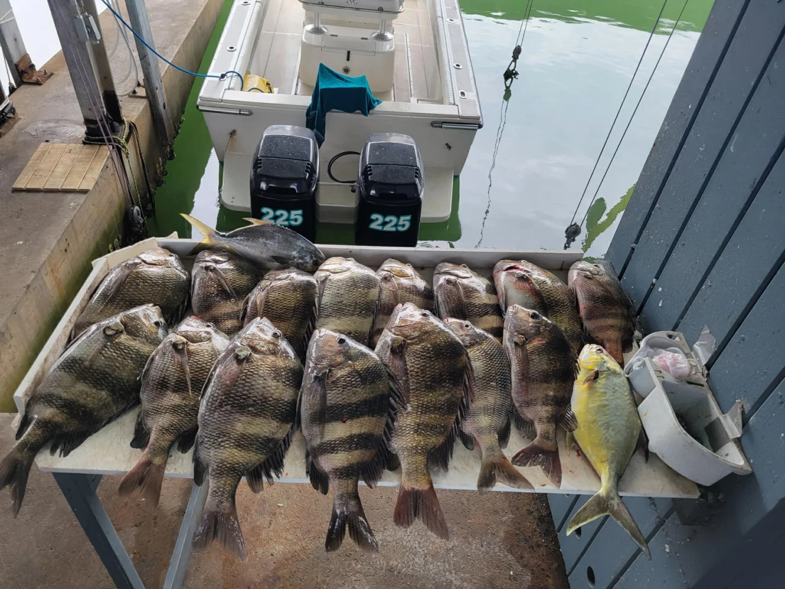 Fishing in Destin