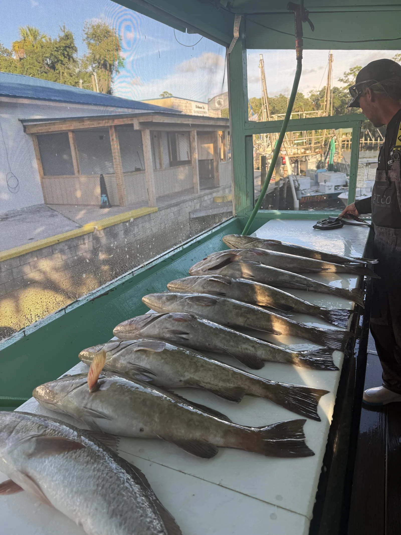 Fishing in Destin