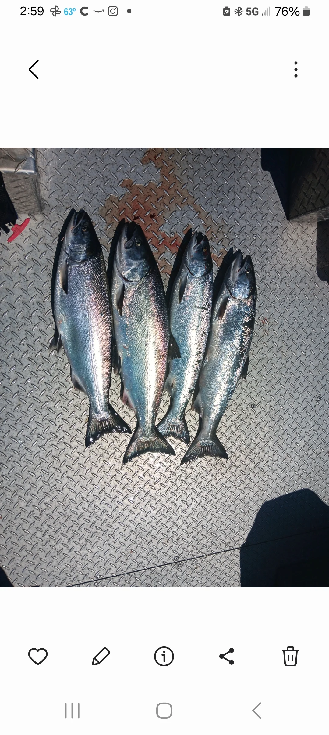 Fishing in Destin