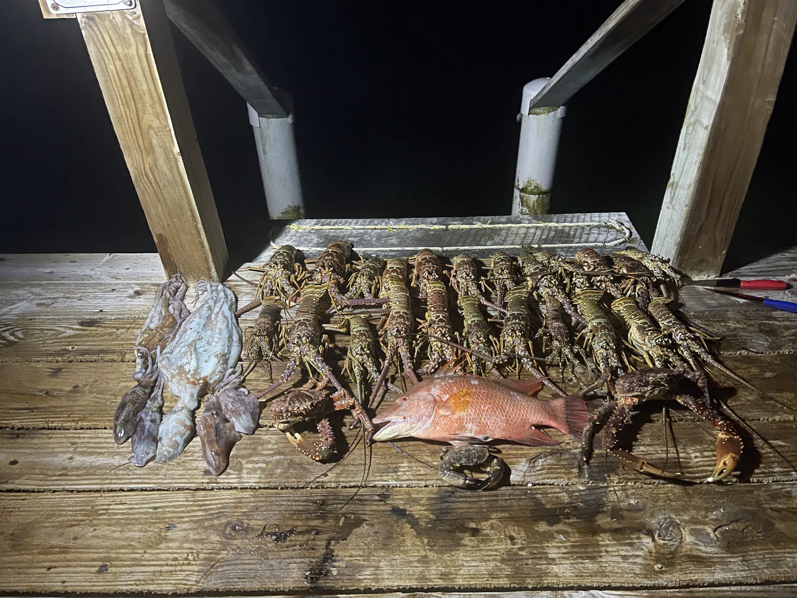 Night Lobster Hunt 