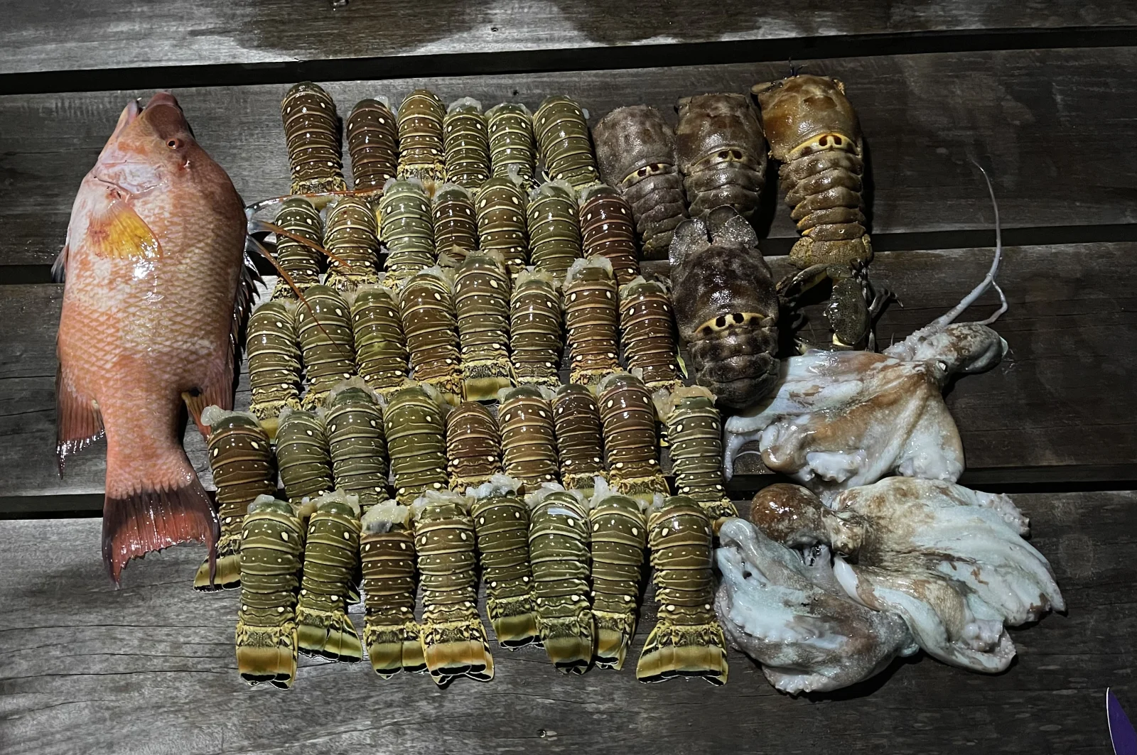 Night Lobster Hunt 