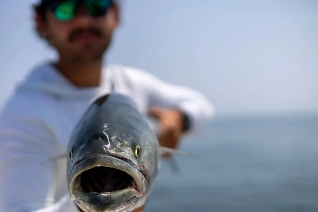 Inshore Fishing Trip