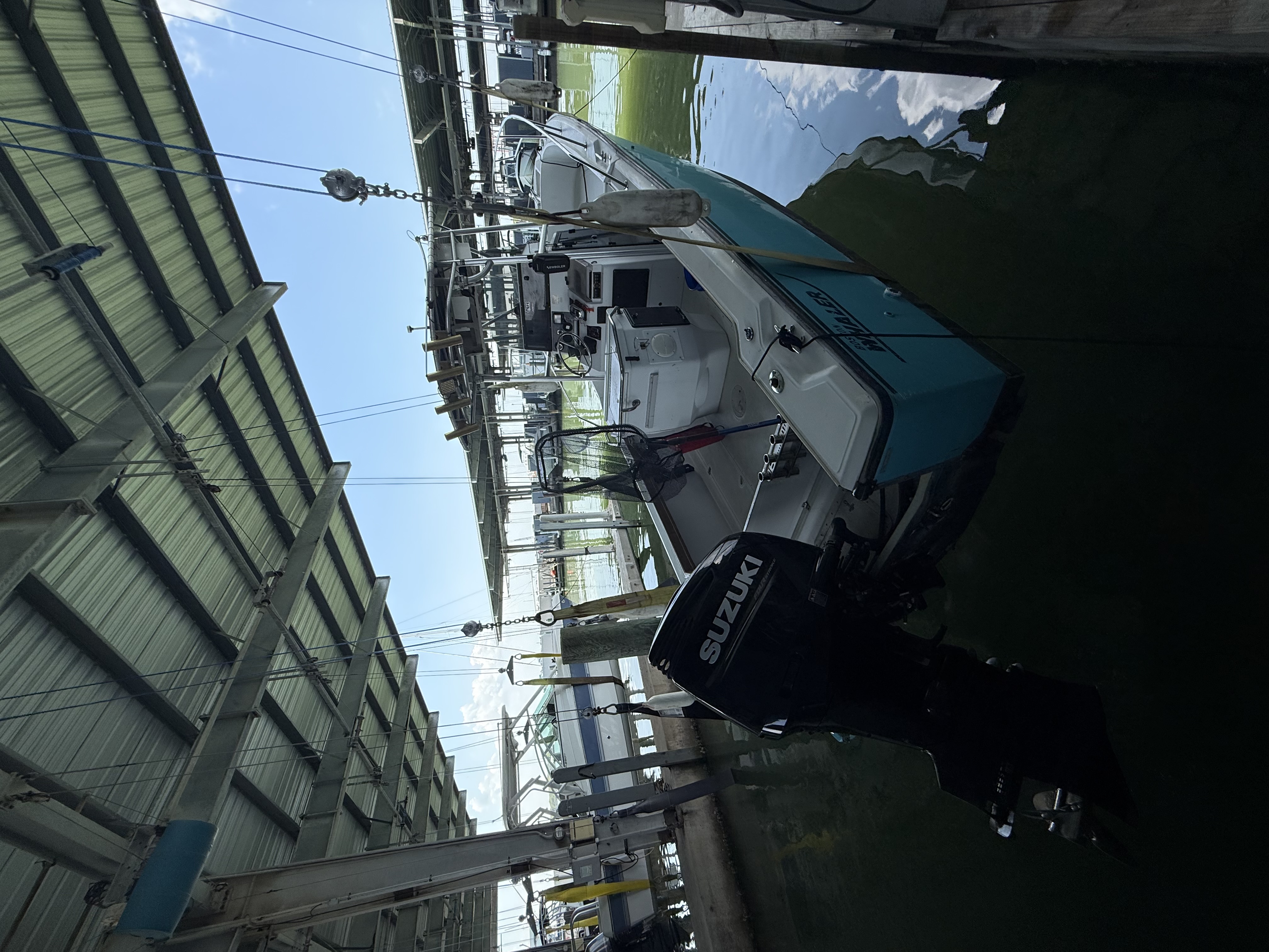 Shark hunt