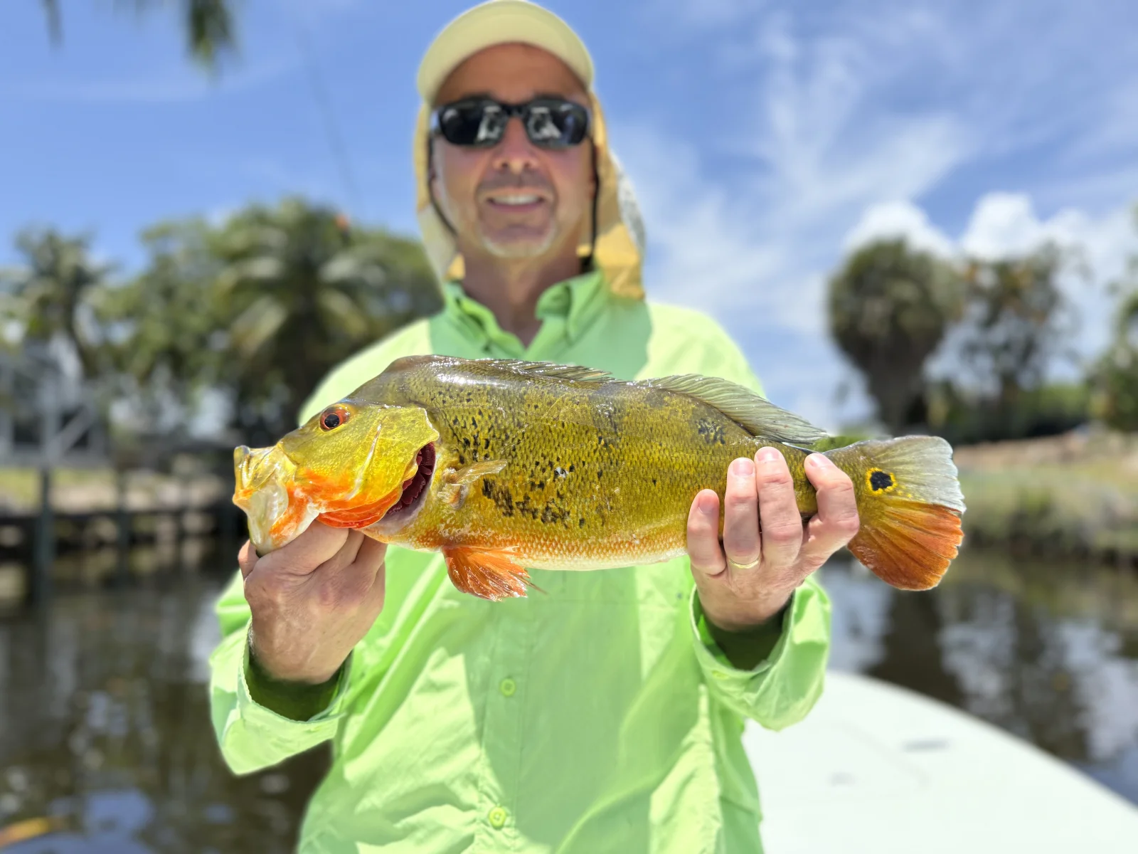 Peacock bass fishing south Florida 