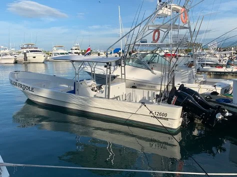 Half/Full Day Inshore Trip