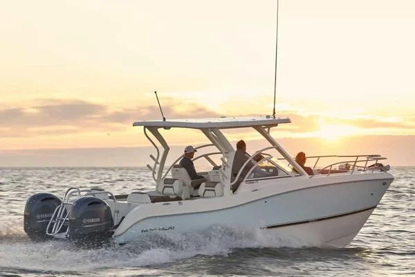 Shell Island Boat Trip