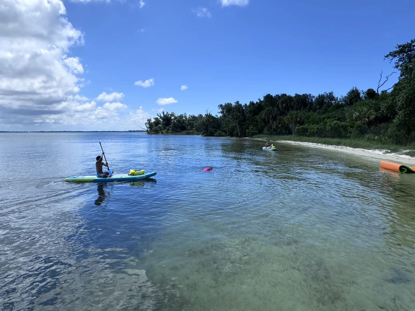 Shell Island Boat Trip