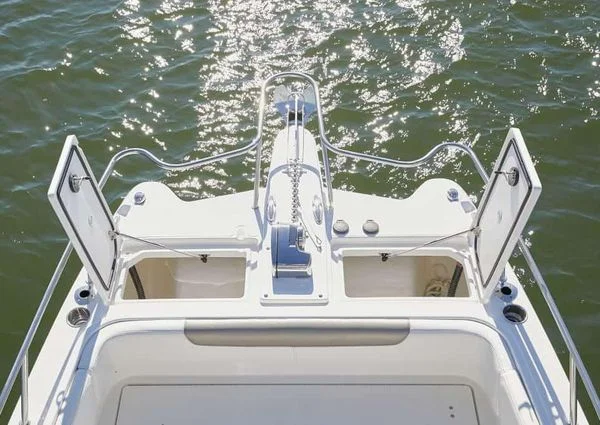 Shell Island Boat Trip