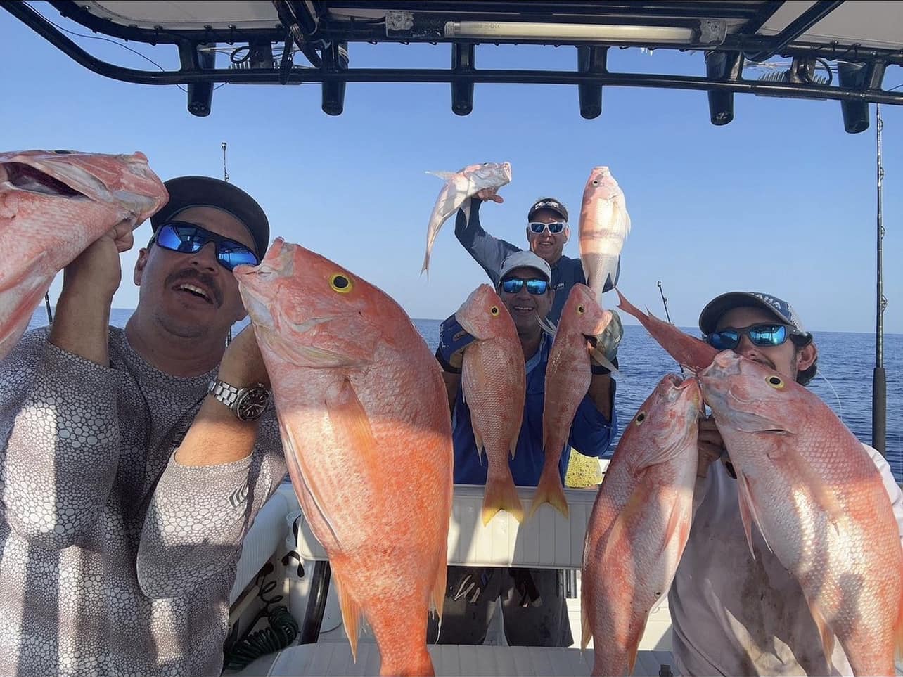 6-8 Hour Offshore Trip