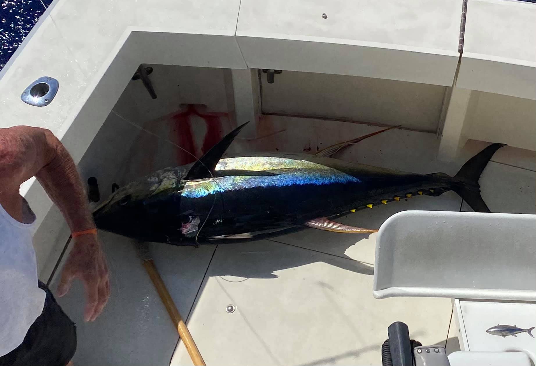 4-8 Hours Kona Fishing Trip