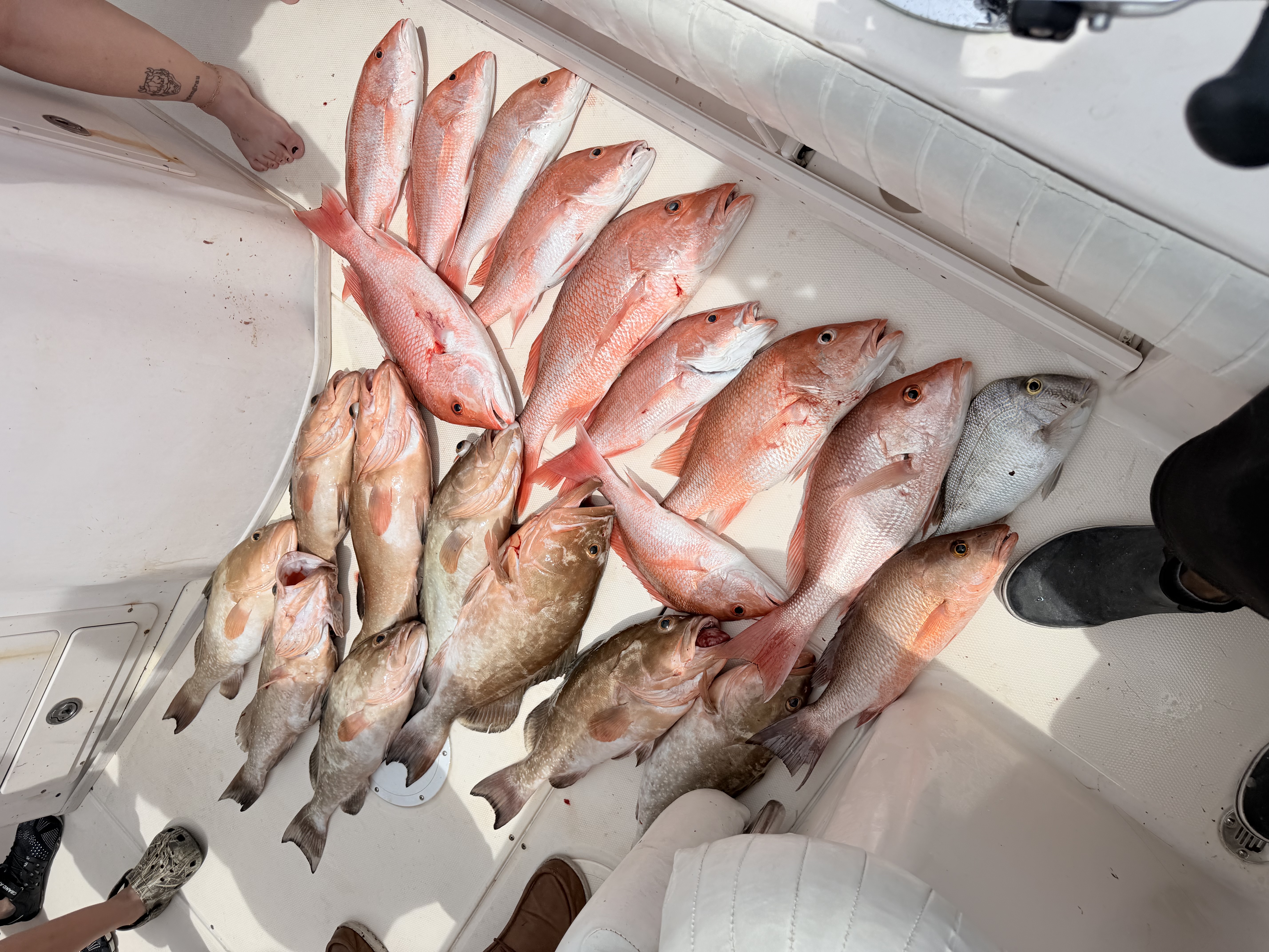 Fishing in Destin