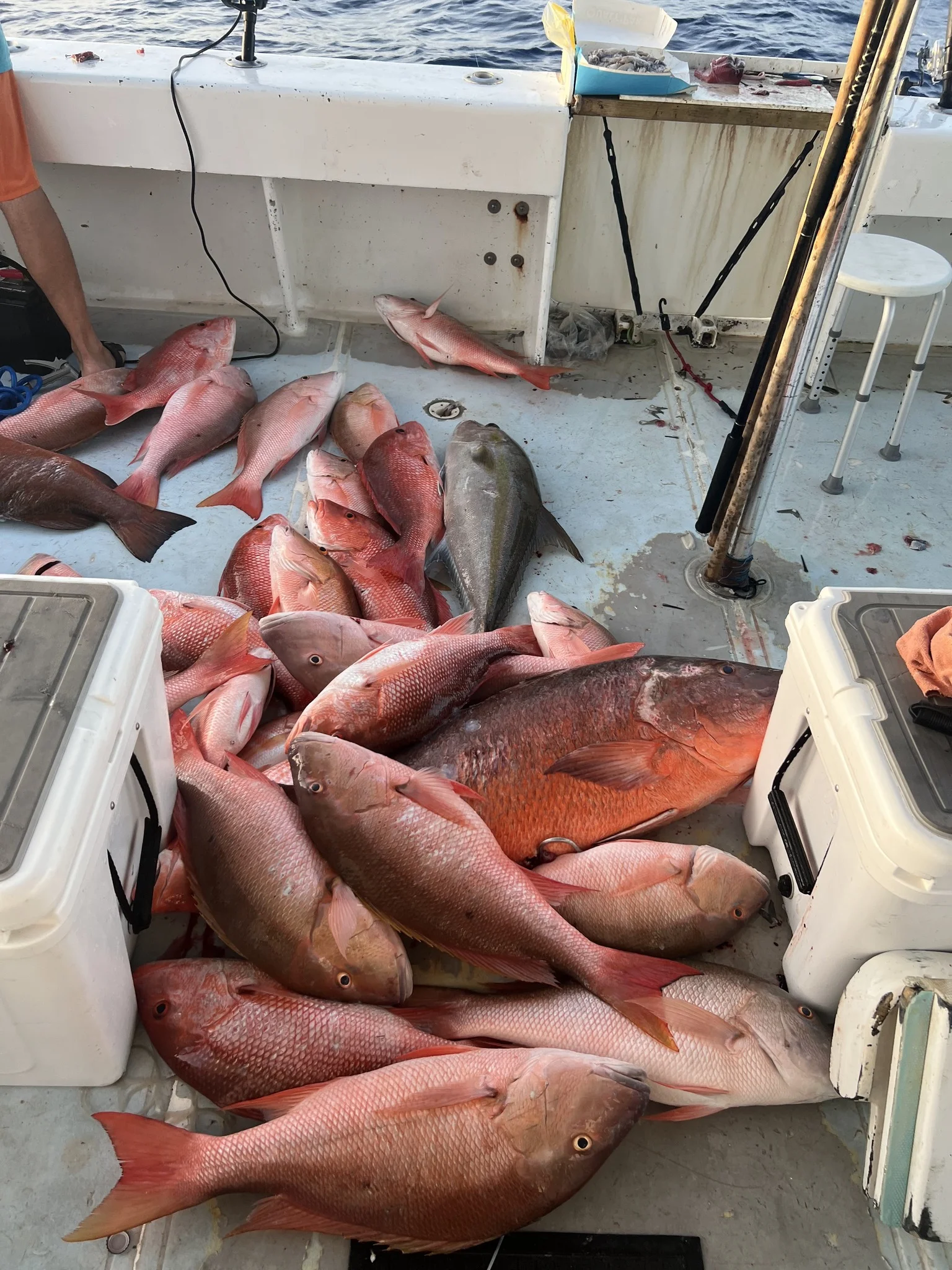 Fishing in Destin