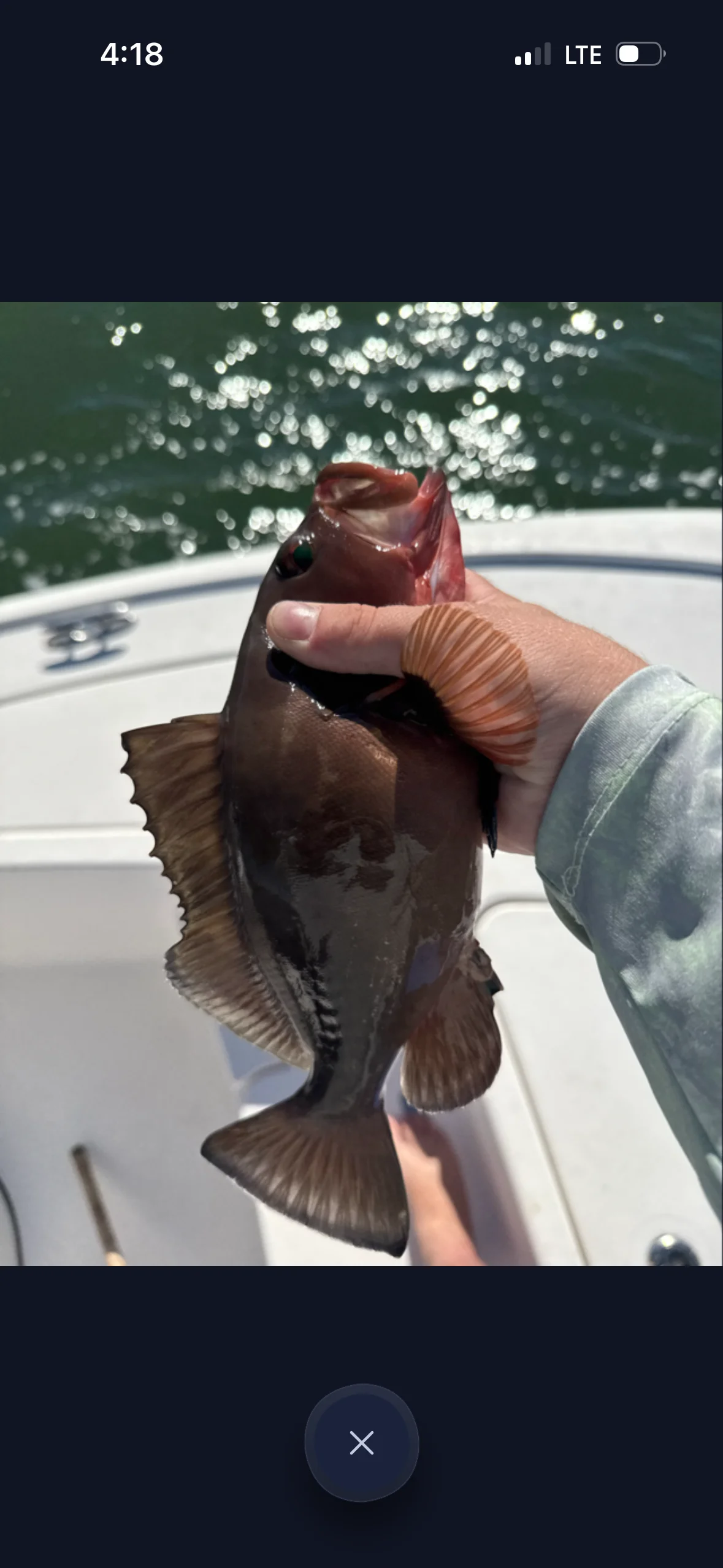 Fishing in Destin