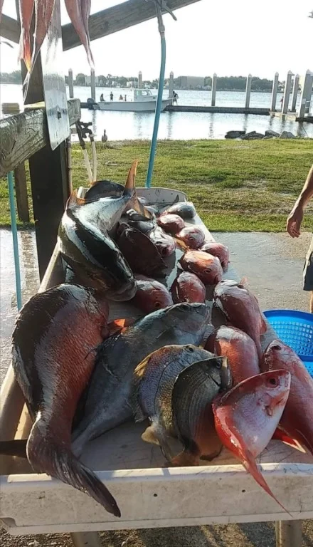 Fishing in Destin