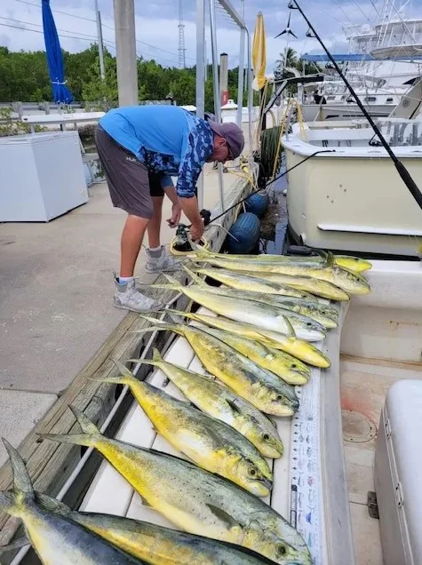 4-8 Hour Fishing Trip