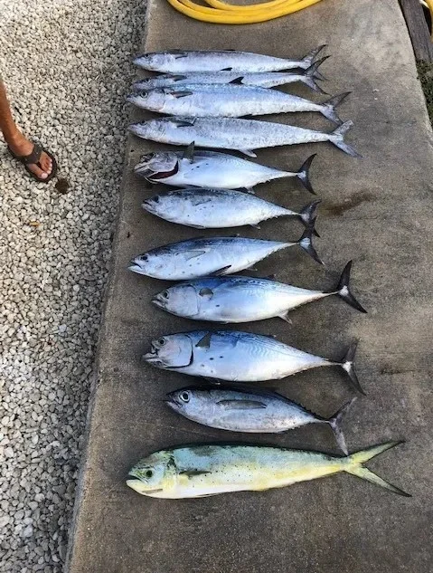 4-8 Hour Fishing Trip