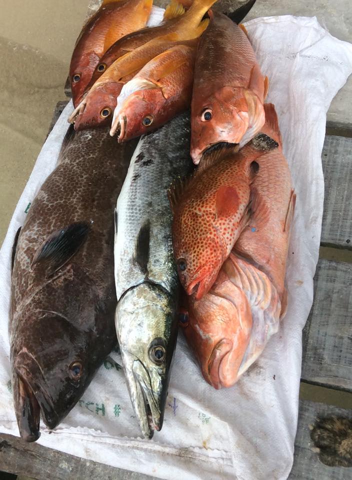 Fishing in Destin