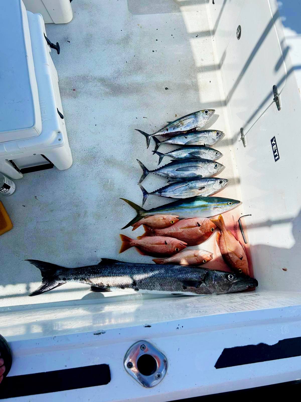 Fishing in Destin