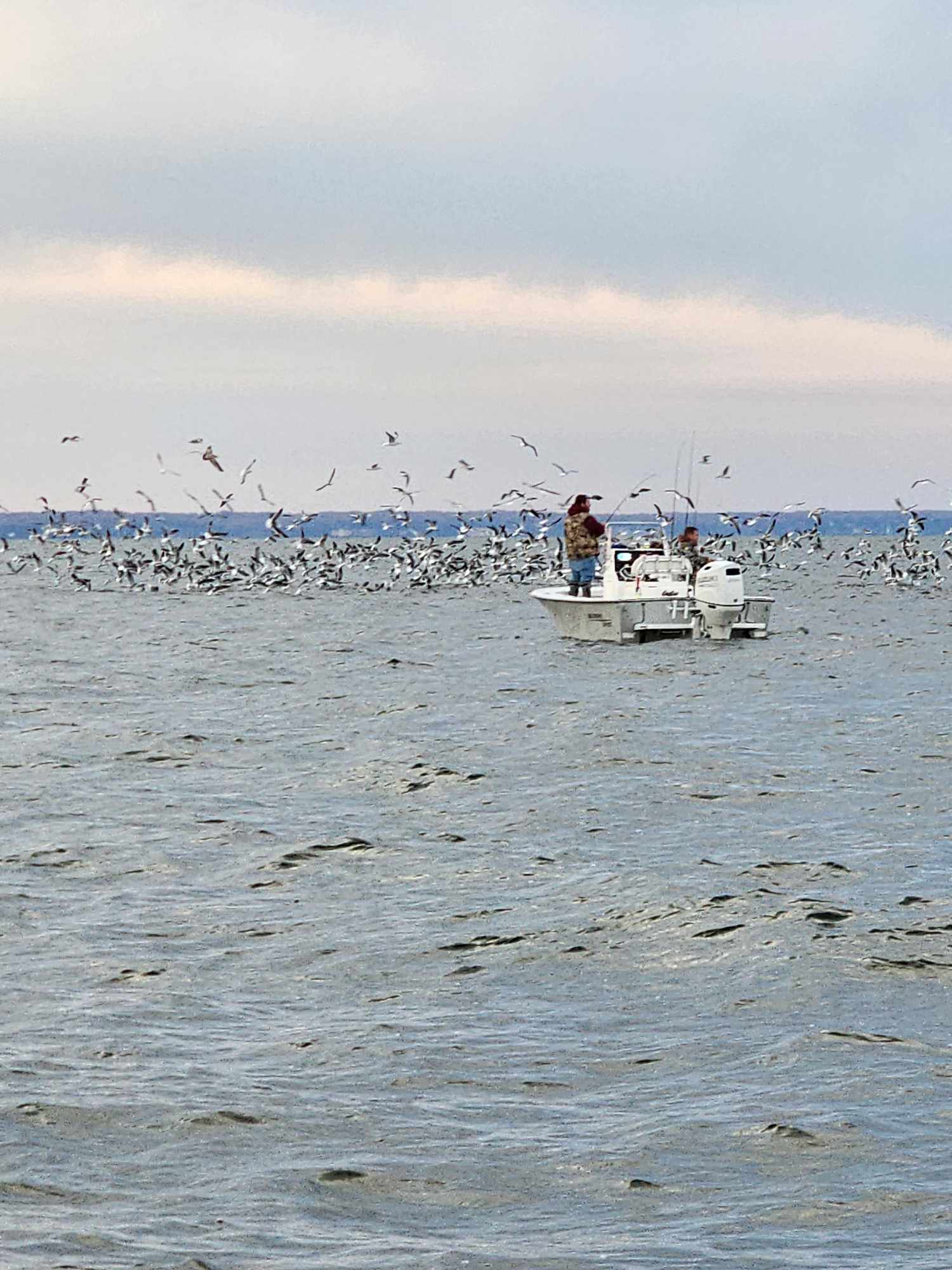 Boat photo for Half Day Light Tackle 