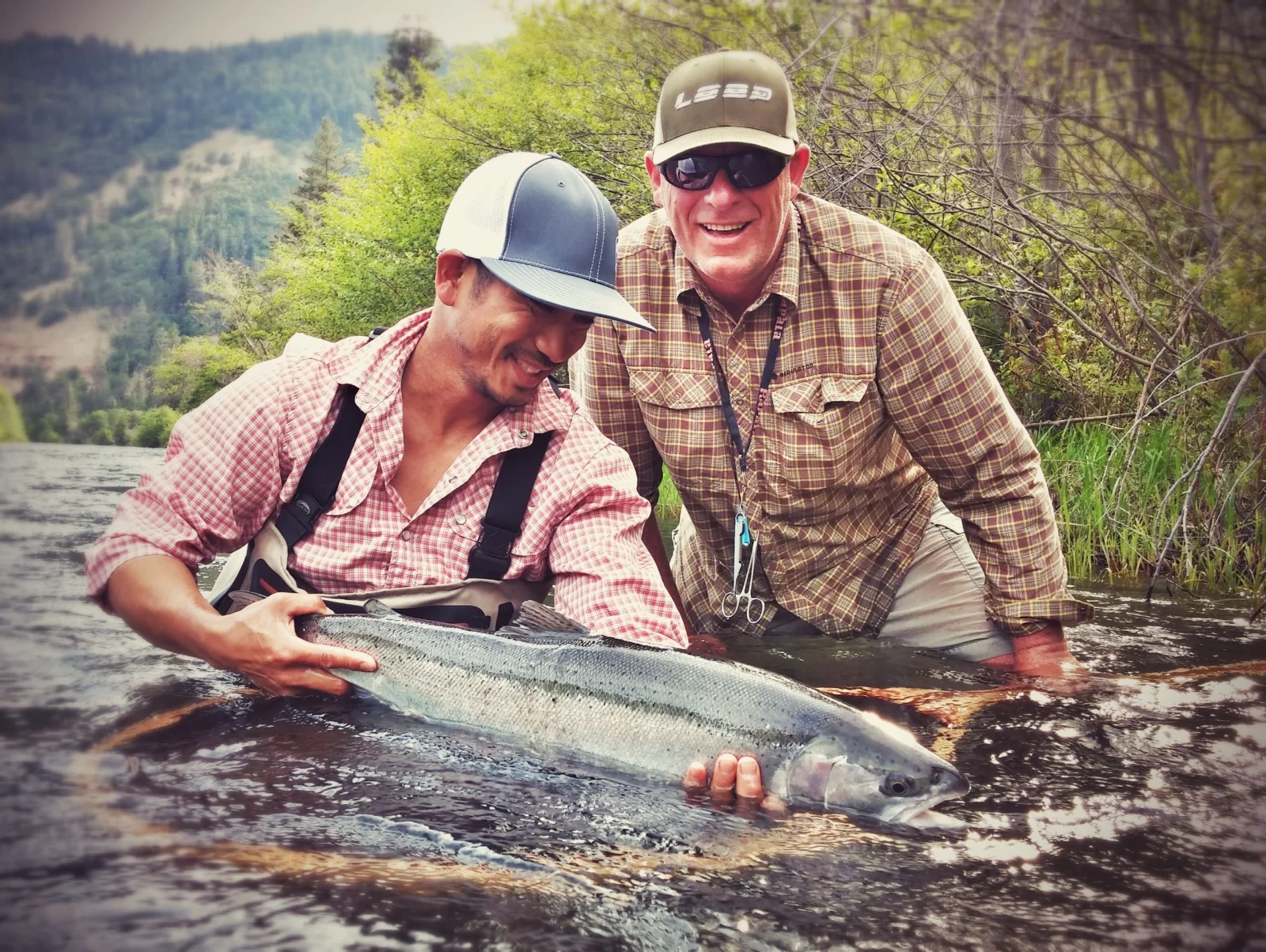 Steelhead Fishing
