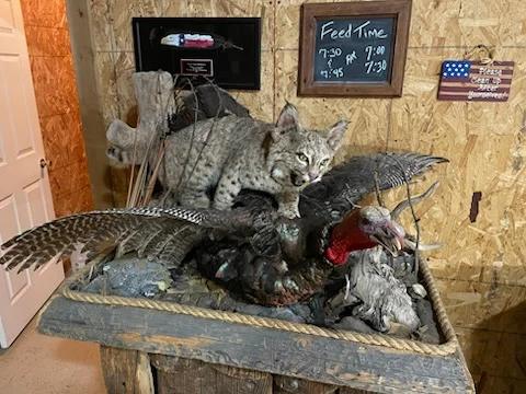 Big Game Exotics