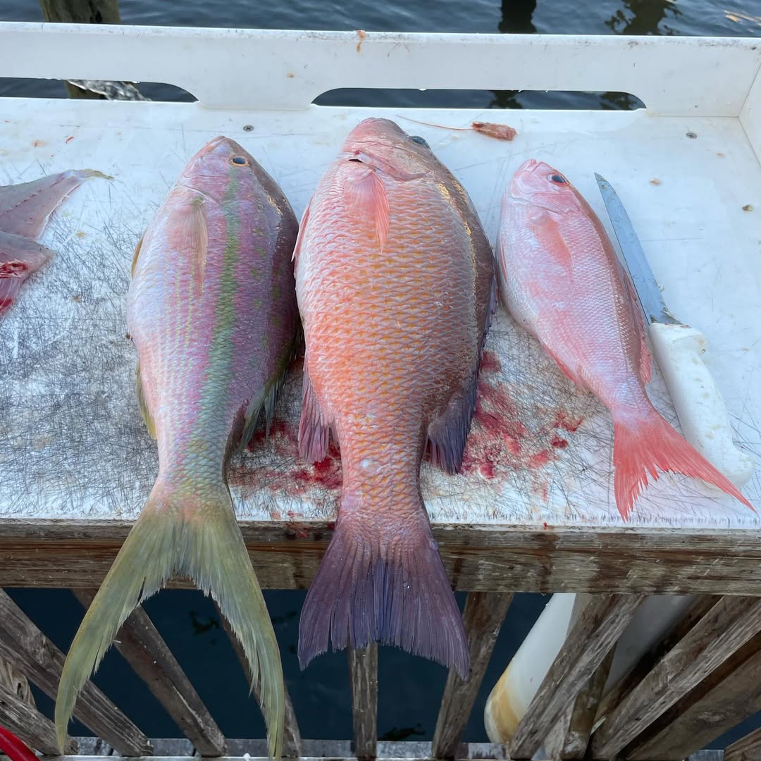 Fishing in Destin