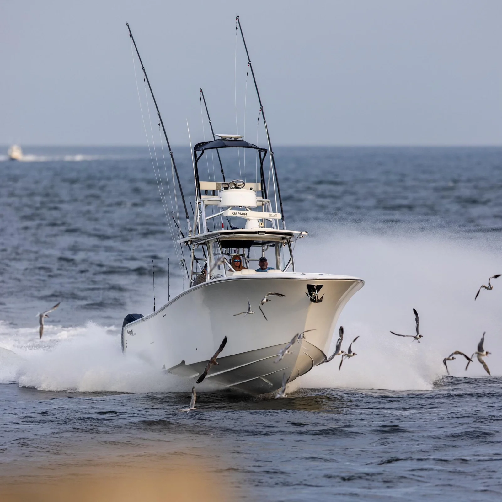 4-8 hour Offshore Fishing