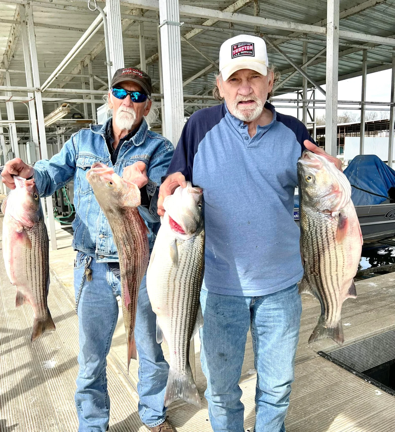 Striper Fishing