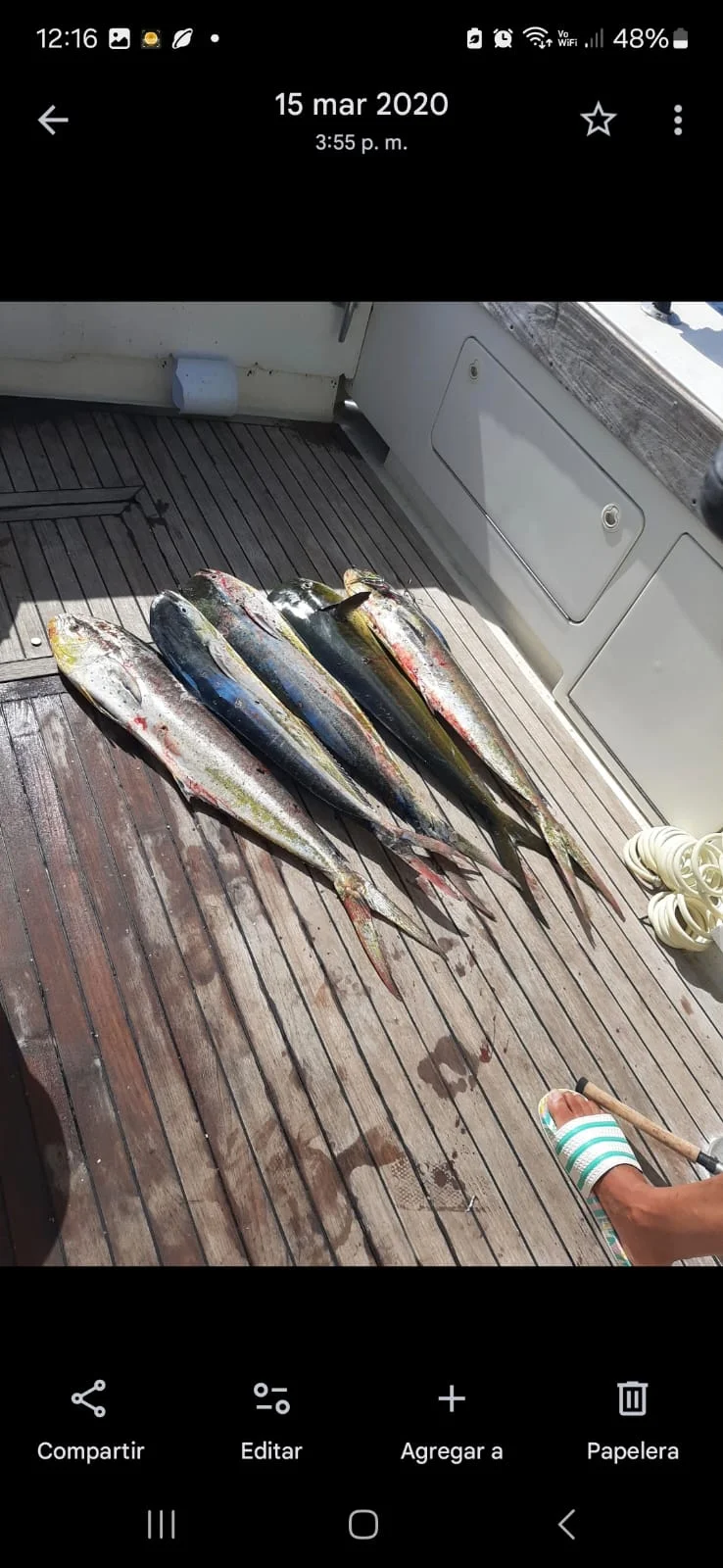 Fishing in Destin