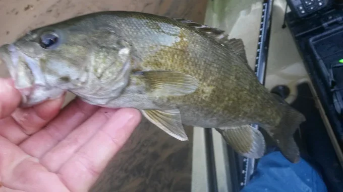 Lake And Reservoir Fishing