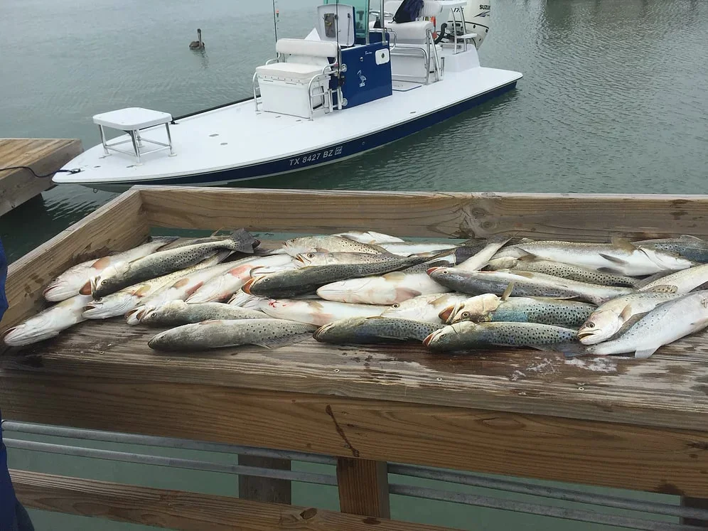 Boat photo for Laguna Madre Inshore Trip