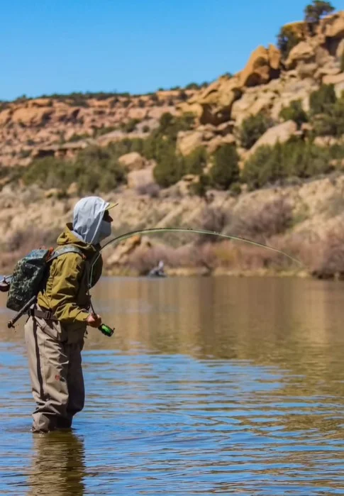 San Juan River Fly Fishing
