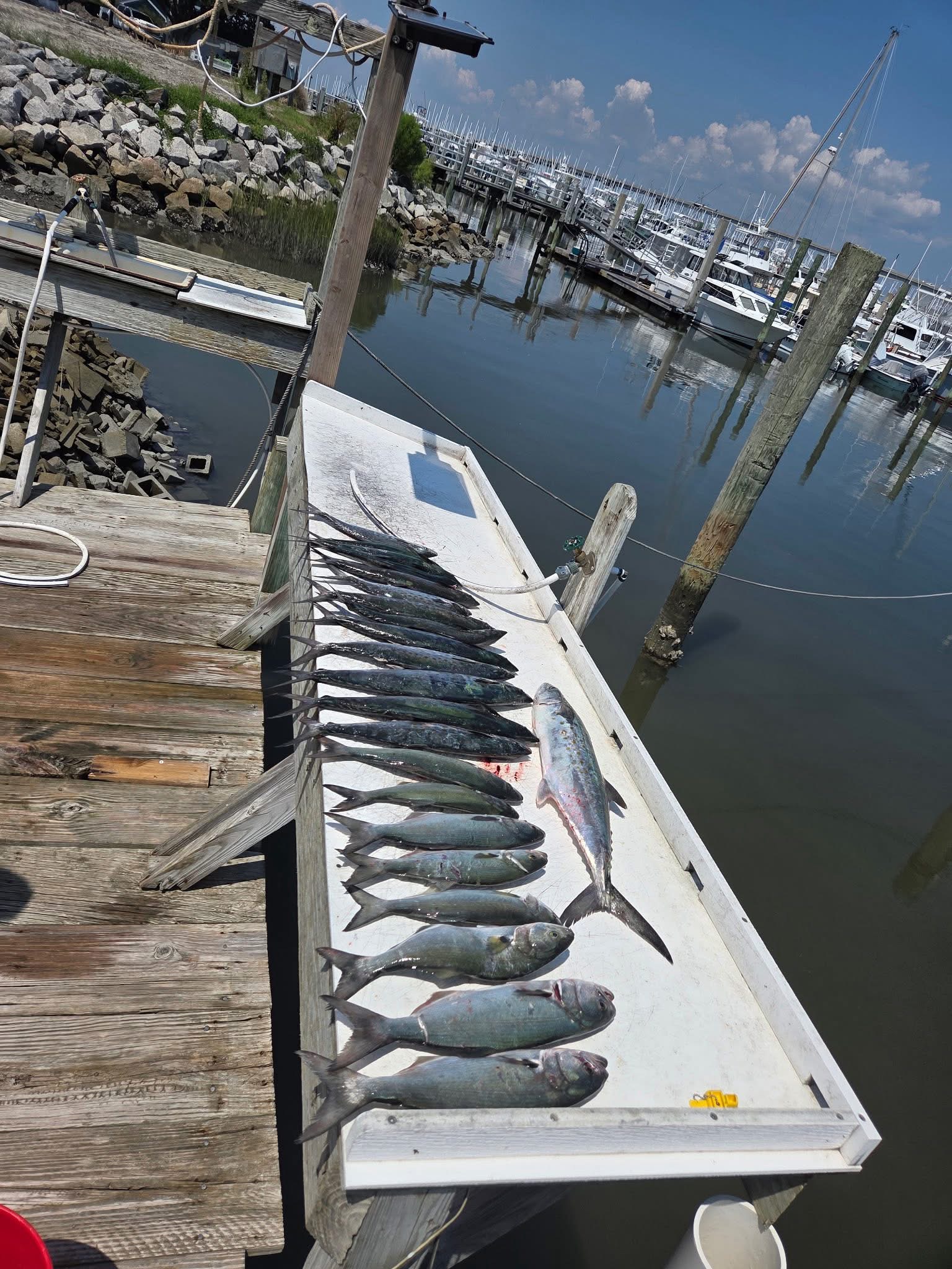 Fishing in Destin