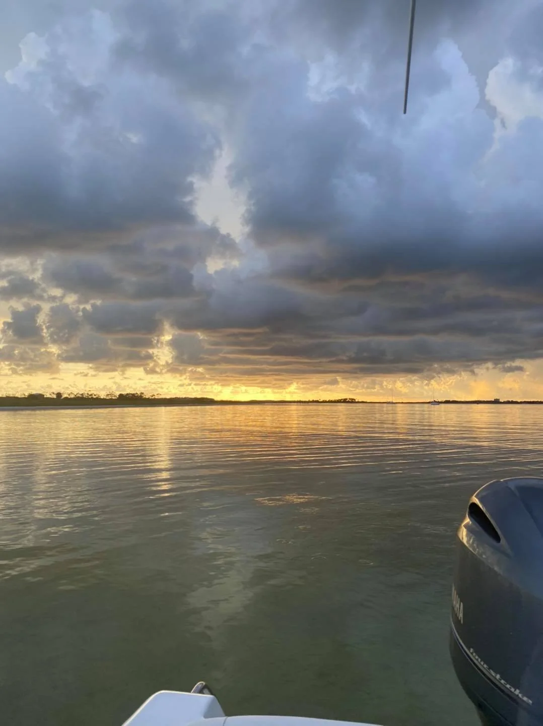 Dolphin Tour