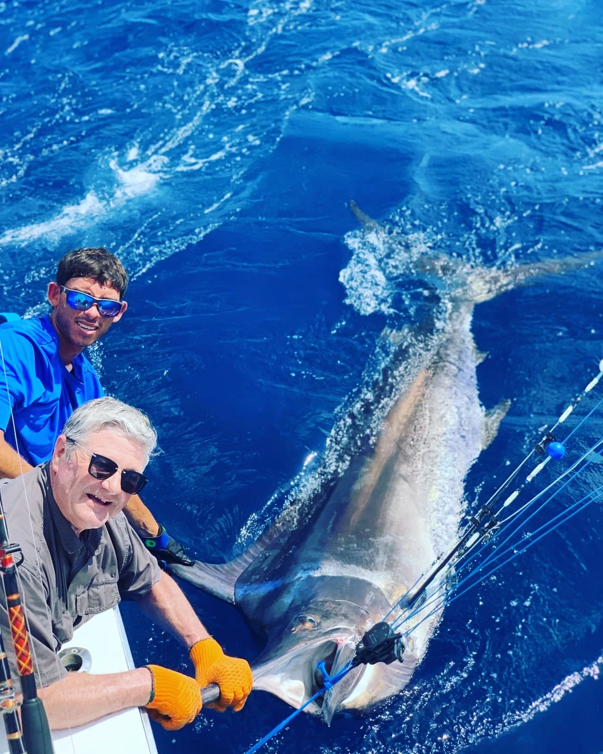 Full Day Offshore