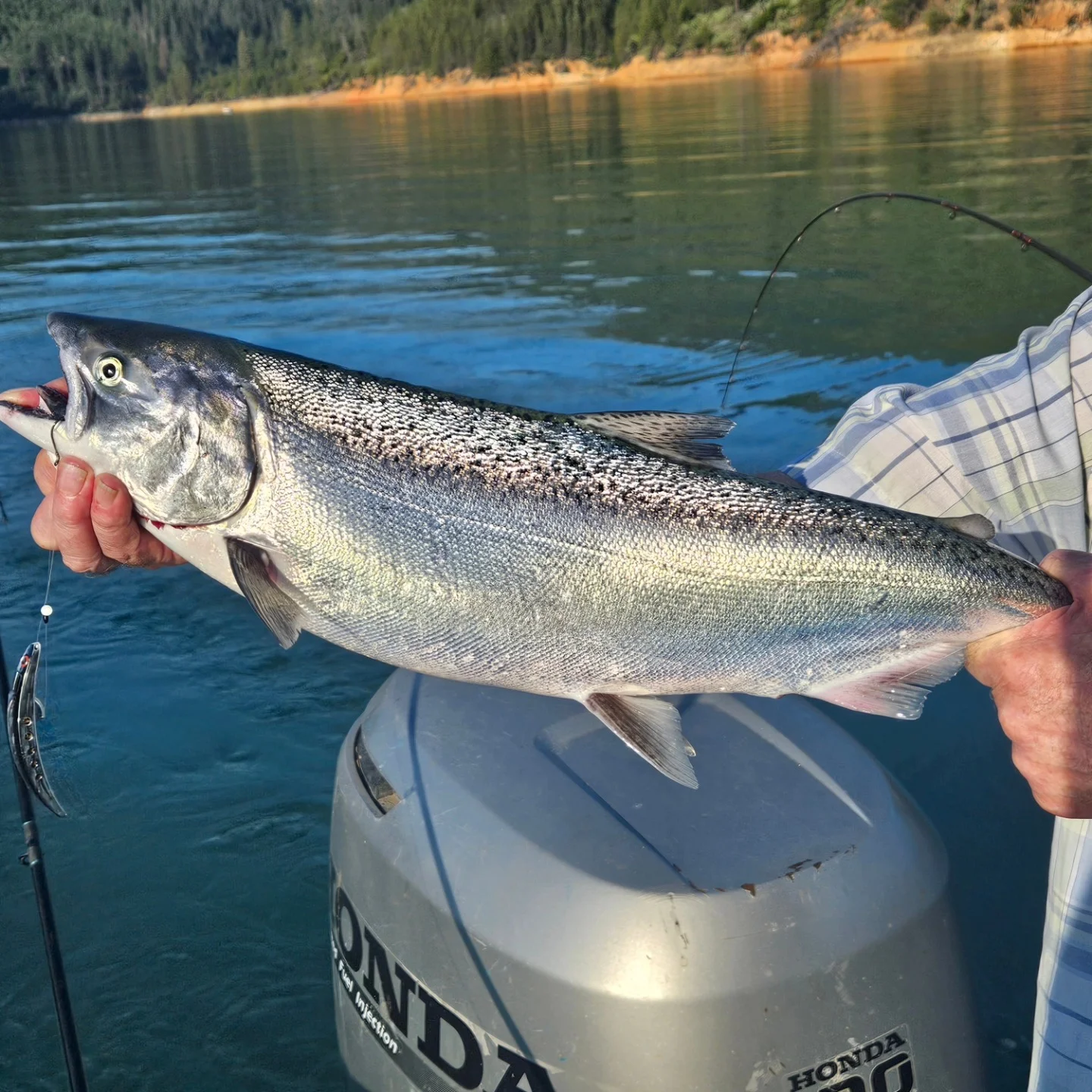 Sport Fishing Trip