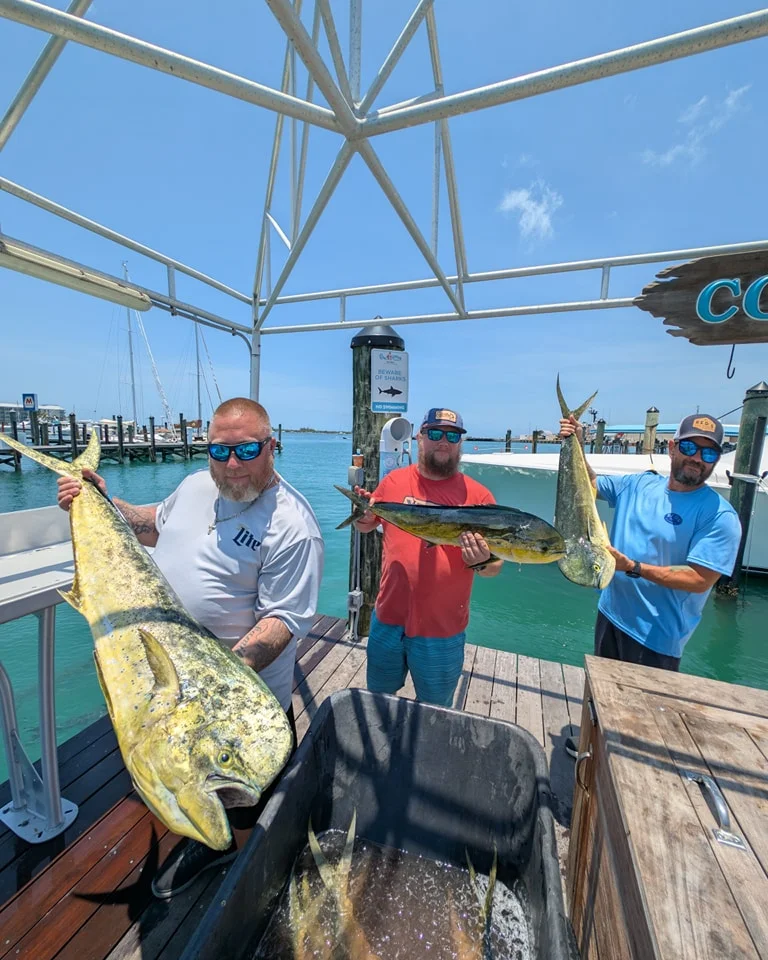 4-8 Hour Fishing Trip