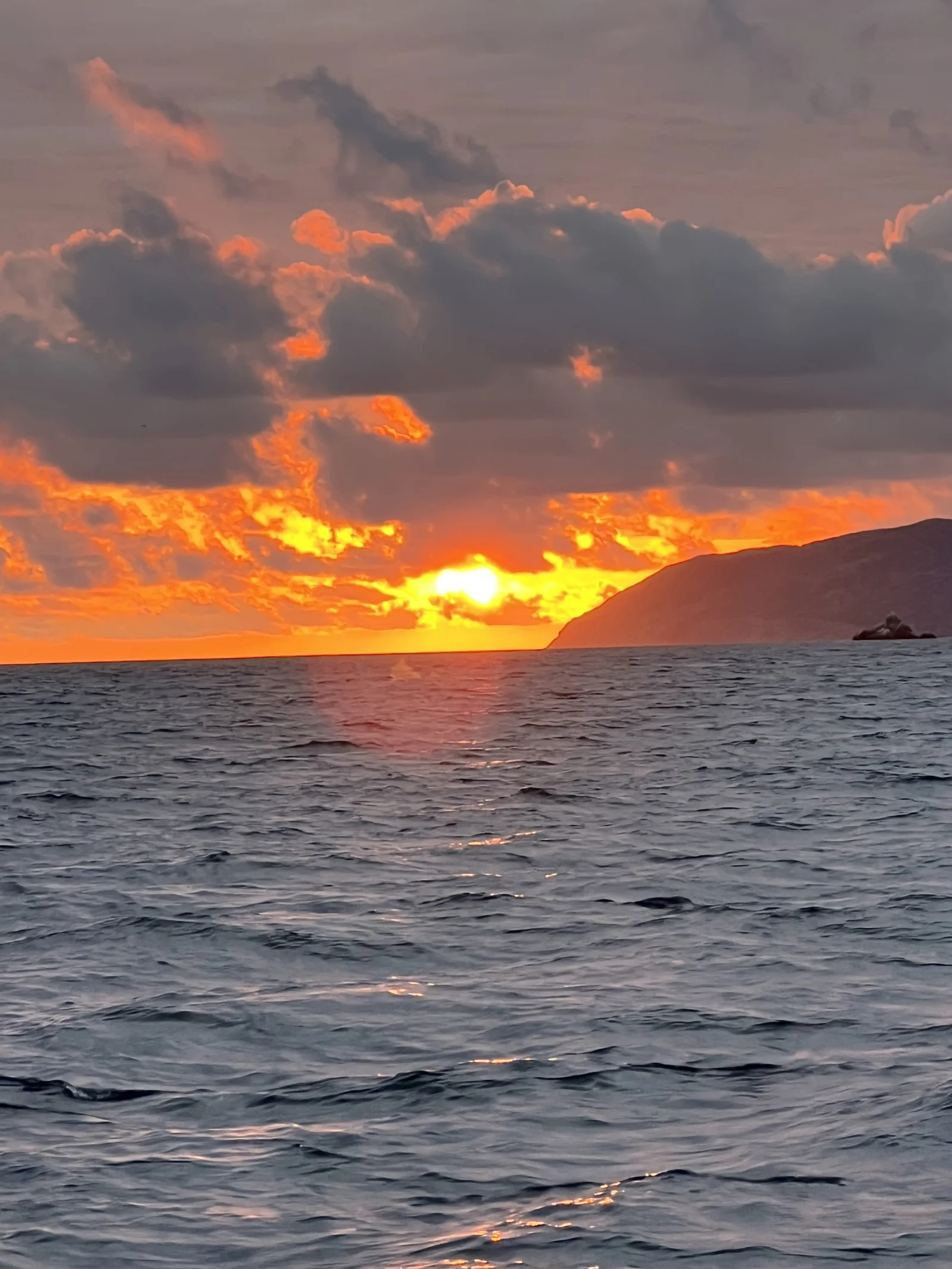 Catalina Sunset Adventure - 30'
