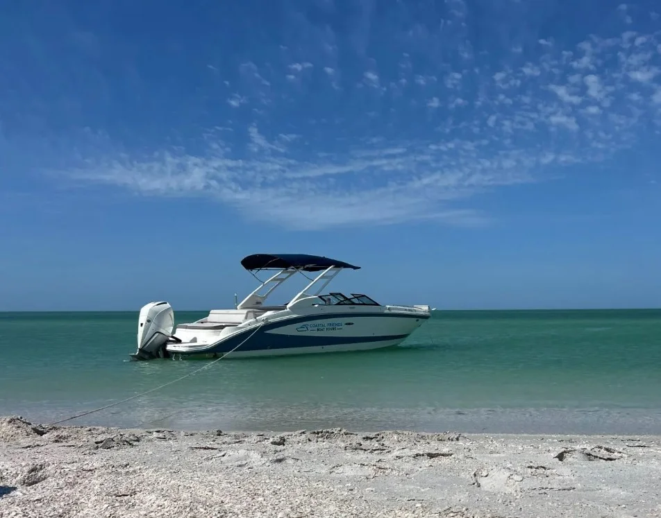 3 Hr – Dolphin & Sunset Cruise