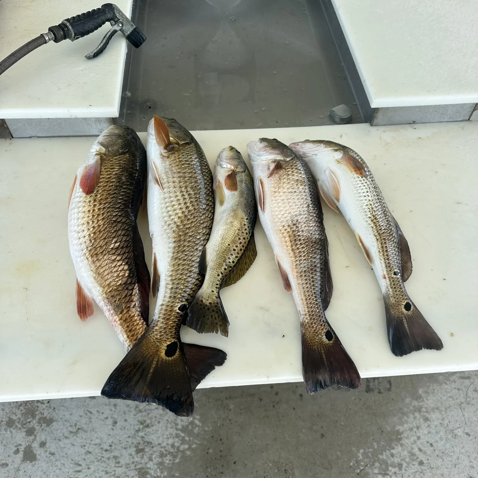 Hook, Line & Memories Fishing Trip