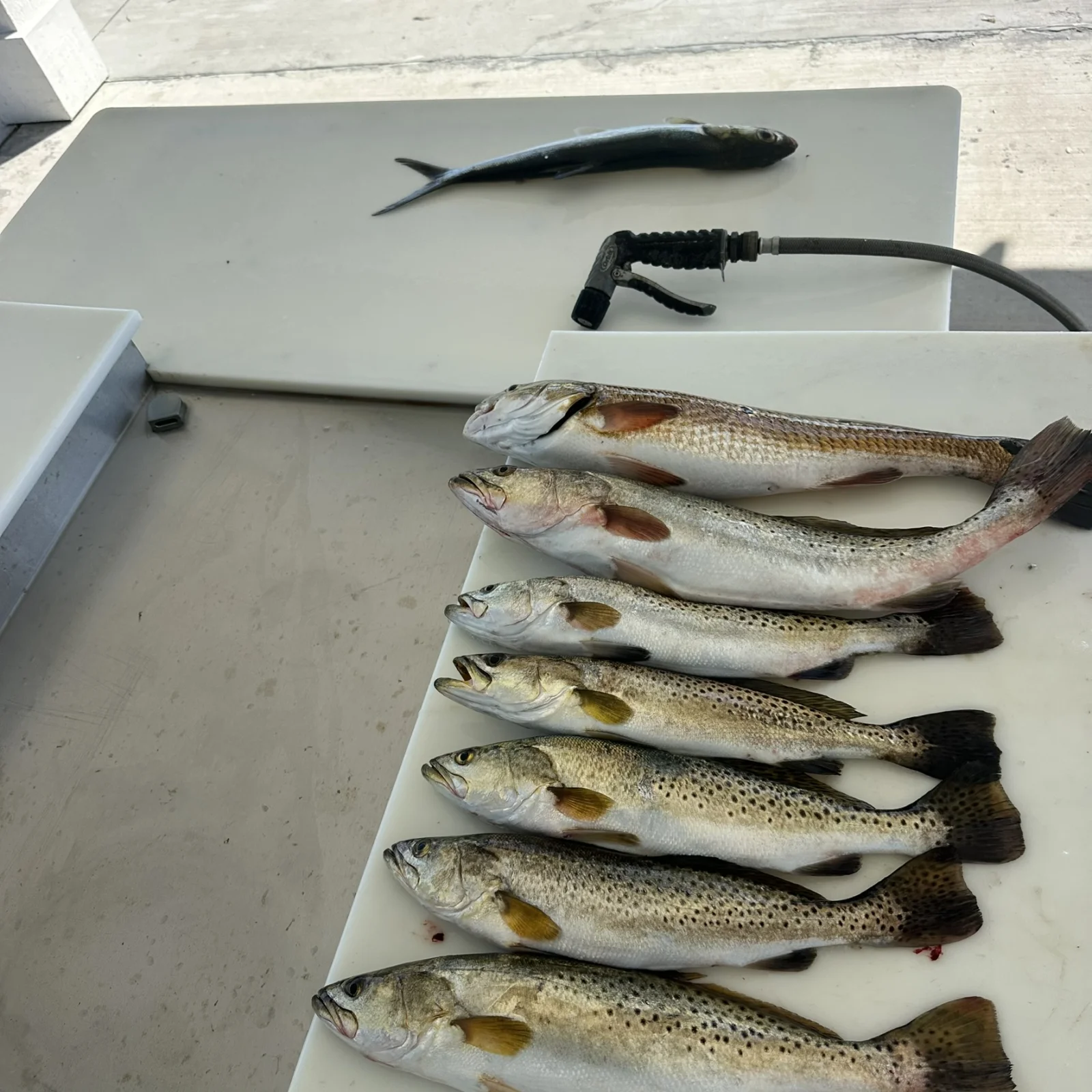 Hook, Line & Memories Fishing Trip